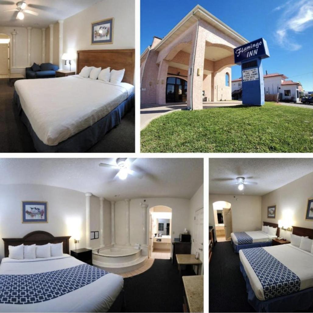 The Flamingo - South Padre Island Hotel Buitenkant foto